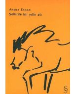 Şehirde Bir Yılkı Atı