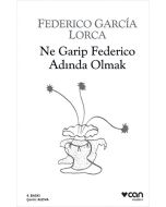 Ne Garip Federico Adında Olmak