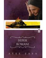 Şebek Romanı