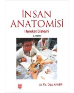 İnsan Anatomisi - Hareket Sistemi