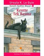 Kanatlı Kediler Masalı 4 - Kentte Tek Başına