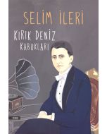 Kırık Deniz Kabukları