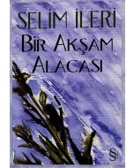 Bir Akşam Alacası