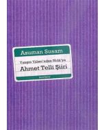 Yangın Yılları'ndan Nidâ'ya Ahmet Telli Şiiri