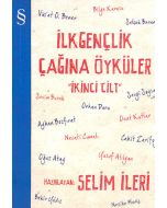 İlkgençlik Çağına Öyküler - 2