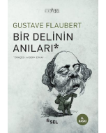 Bir Delinin Anıları