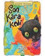 Son Kara Kedi