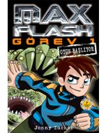 Max Flash Görev 1