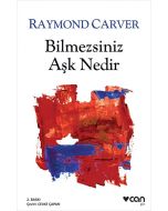 Bilmezsiniz Aşk Nedir