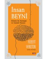 İnsan Beyni