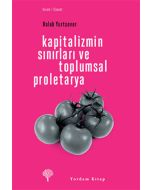 Kapitalizmin Sınırları ve Toplumsal Proletarya