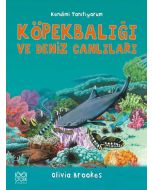 Köpekbalığı ve Deniz Canlıları