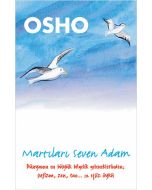 Martıları Seven Adam