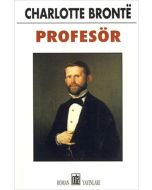 Profesör