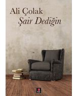 Şair Dediğin