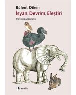 İsyan, Devrim, Eleştiri