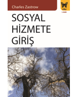 Sosyal Hizmete Giriş