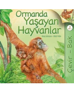 Çevir Bak - Ormanda Yaşayan Hayvanlar