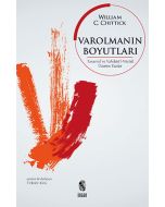 Varolmanın Boyutları