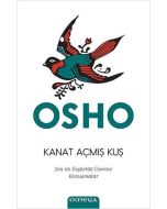 Kanat Açmış Kuş