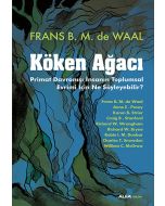 Köken Ağacı