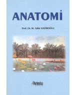 Anatomi