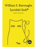 İçerdeki Kedi