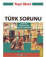 Türk Sorunu