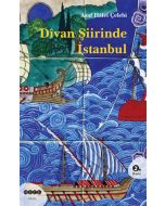 Divan Şiirinde İstanbul