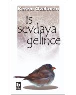 İş Sevdaya Gelince