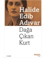 Dağa Çıkan Kurt