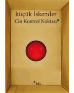 Cin Kontrol Noktası