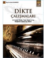 Dikte Çalışmaları