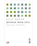 Şehirden İndim Köye