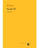 Analiz 2