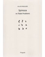 Spinoza ve İfade Problemi