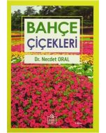 Bahçe Çiçekleri