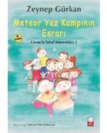 Meteor Yaz Kampının Esrarı