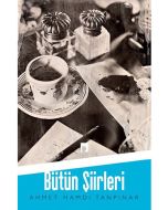 Bütün Şiirleri