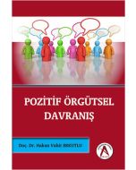 Pozitif Örgütsel Davranış
