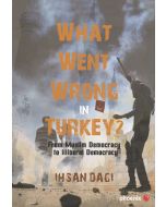 What Went Wrong in Turkey?