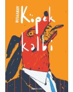 Köpek Kalbi