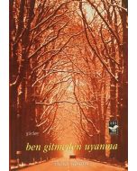 Ben Gitmeden Uyanma