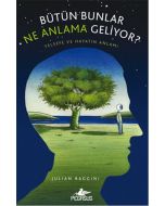 Bütün Bunlar Ne Anlama Geliyor?