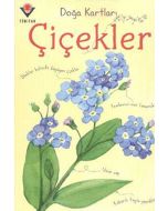 Çiçekler