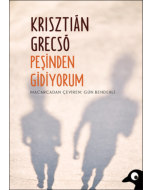 Peşinden Gidiyorum