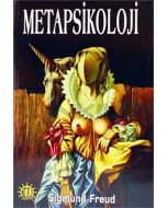Metapsikoloji