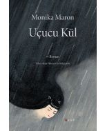 Uçucu Kül