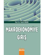 Makroekonomiye Giriş