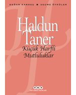 Küçük Harfli Mutluluklar